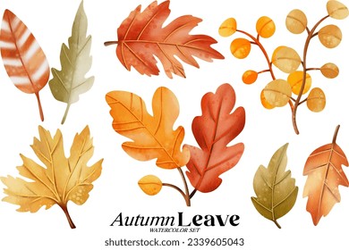 Autumn leave watercolor illustration set