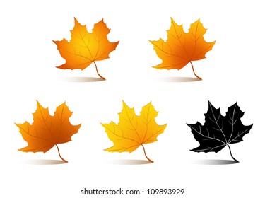 autumn leaves