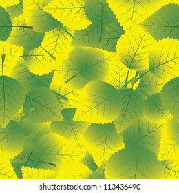 autumn leaves