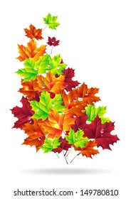 autumn leaves