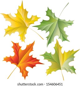 Autumn leaves