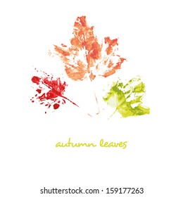 autumn leaves