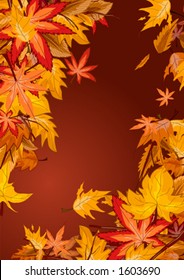 Autumn leaves