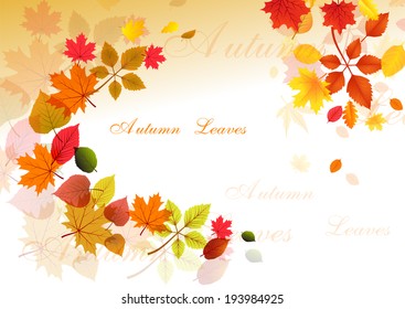 Autumn leaves