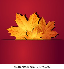 Autumn leaves
