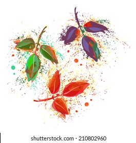 Autumn leaves 