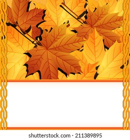 Autumn leaves