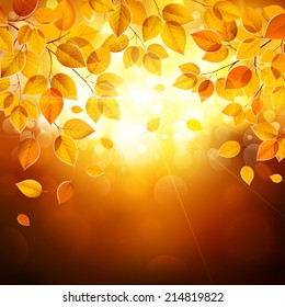 Hojas de otoño