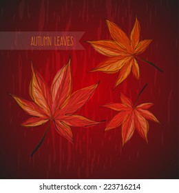 Autumn leaves