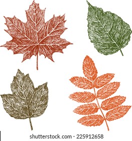 autumn leaves
