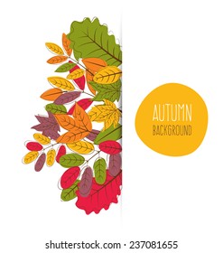 autumn leaves