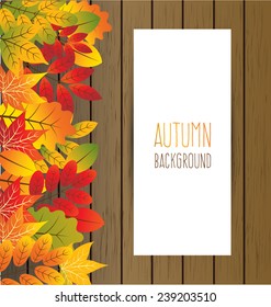 autumn leaves