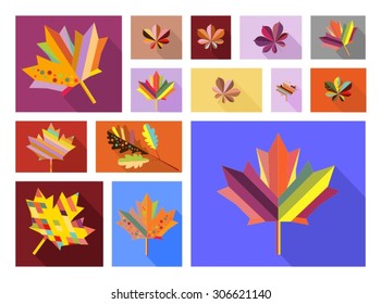 autumn leaves