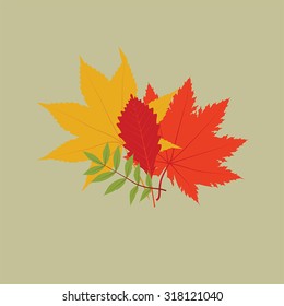Autumn leaves