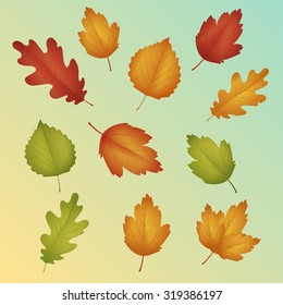 Autumn leaves