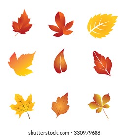 Autumn leaves
