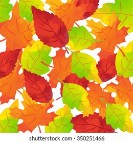 Autumn leaves