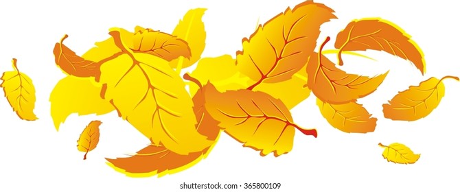 Autumn leaves