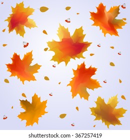 Autumn leaves.