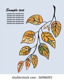 Autumn leaves