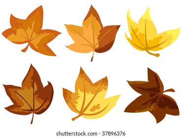 autumn leaves
