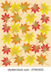 Autumn leaves