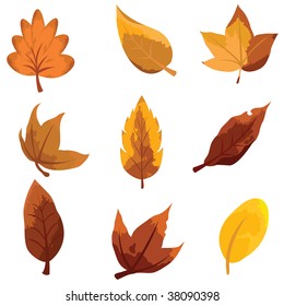 autumn leaves