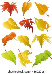  autumn leaves