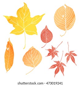 autumn leaves