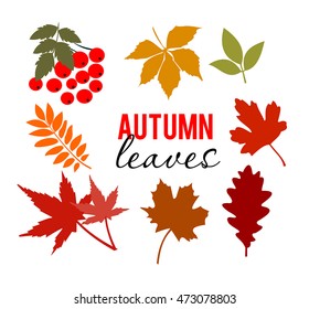 Autumn leaves