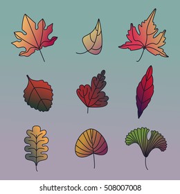 autumn leaves