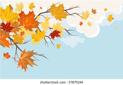 Autumn leaves