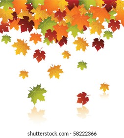 Hojas de otoño