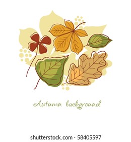 hojas de otoño