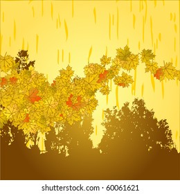 Autumn leaves
