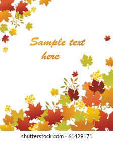 Autumn leaves