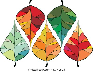 autumn leaves