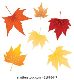 autumn leaves