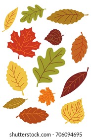 Autumn leaves