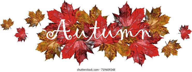 autumn leaves