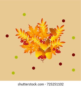 autumn leaves