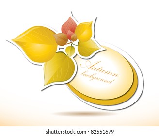 Autumn leaves