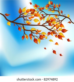 Autumn leaves