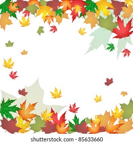 autumn leaves