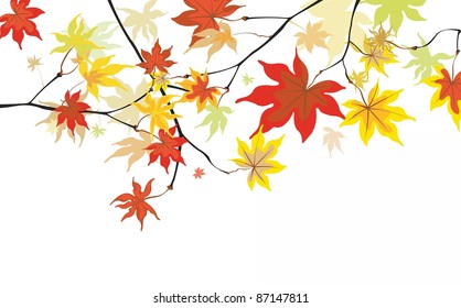 Autumn leaves