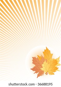 hojas de otoño abstractas. vector
