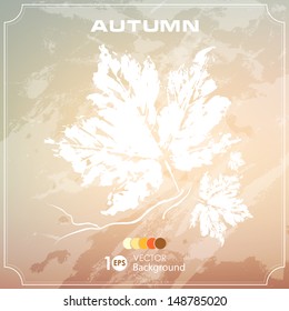 Autumn leaves. Abstract vector background. Eps 10.