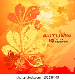 Autumn leaves. Abstract vector background. Eps 10.