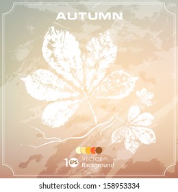 Autumn leaves. Abstract vector background. Eps 10.