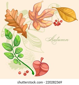 Autumn leaves. Abstract vector background. Eps 10.
